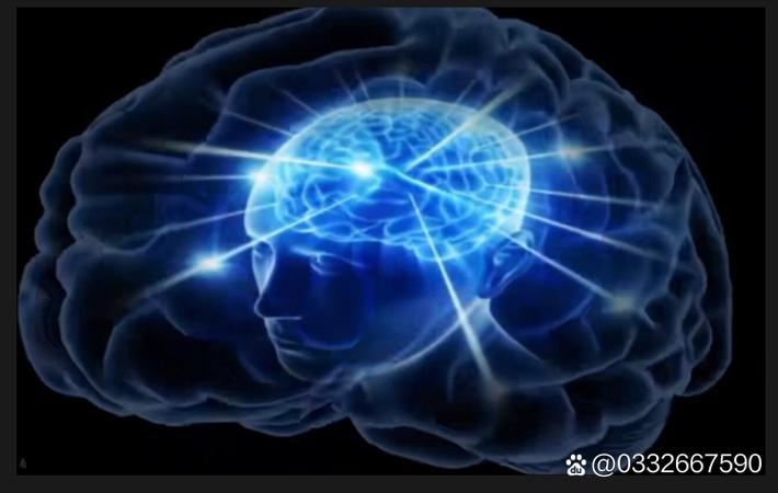 独家爆料！某顶流明星深夜现身机场，行色匆匆疑似出逃